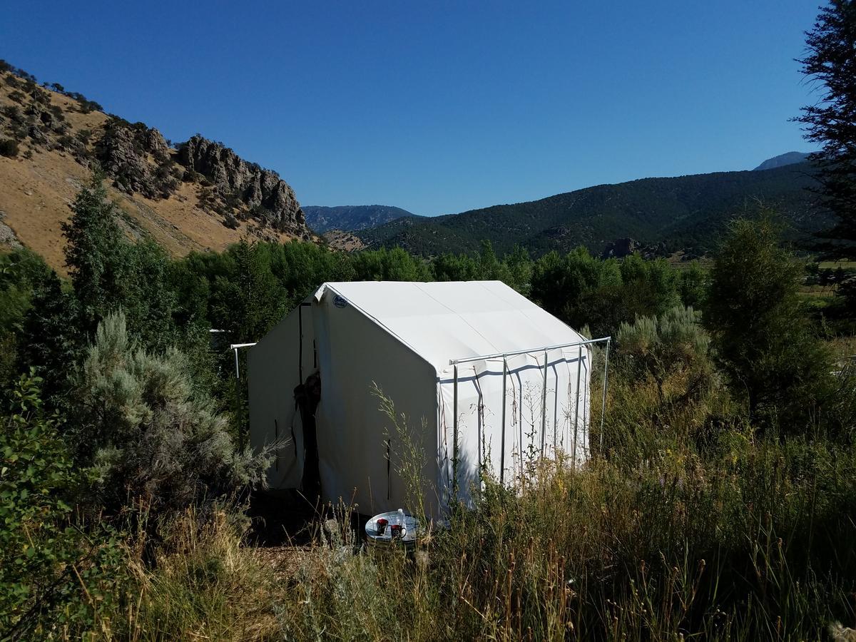 Bristol Cabins Lava Hot Springs Luaran gambar